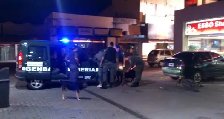 Aprehendieron a un joven que asaltó un comercio