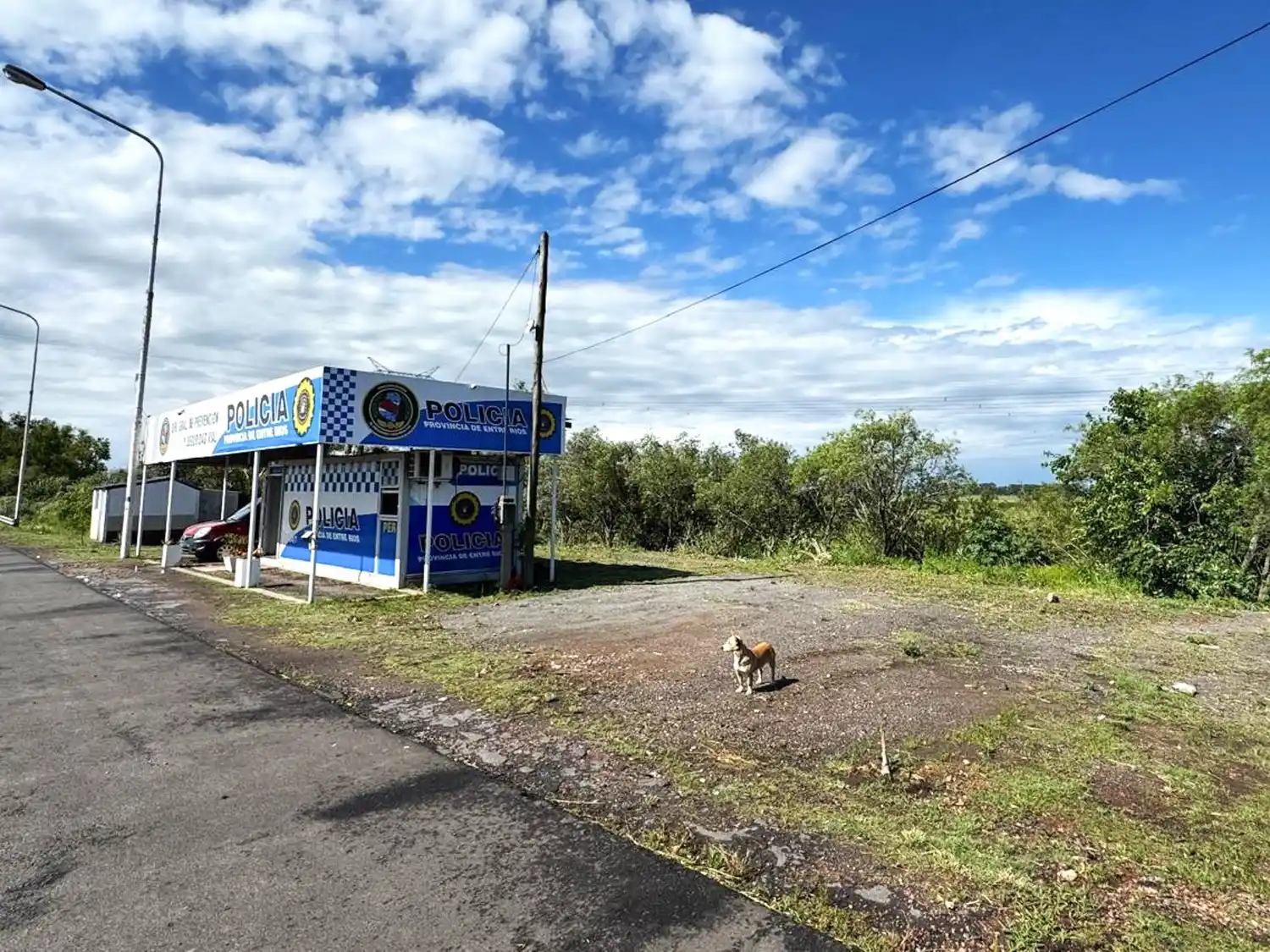 Trasladaron 175 vehículos acumulados en control vial de la Ruta 12