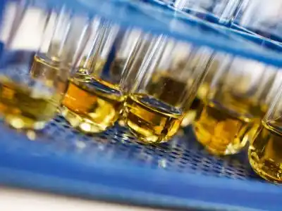 Un dispositivo permitirá detectar el cáncer en la orina