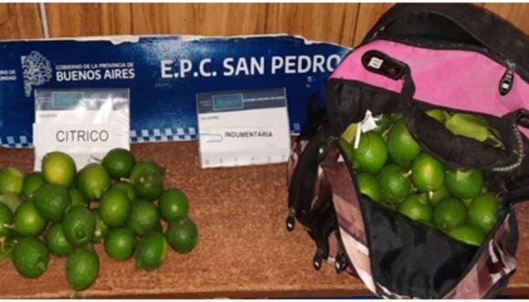 Madre e hijo fueron encontrados robando frutas dentro de una propiedad