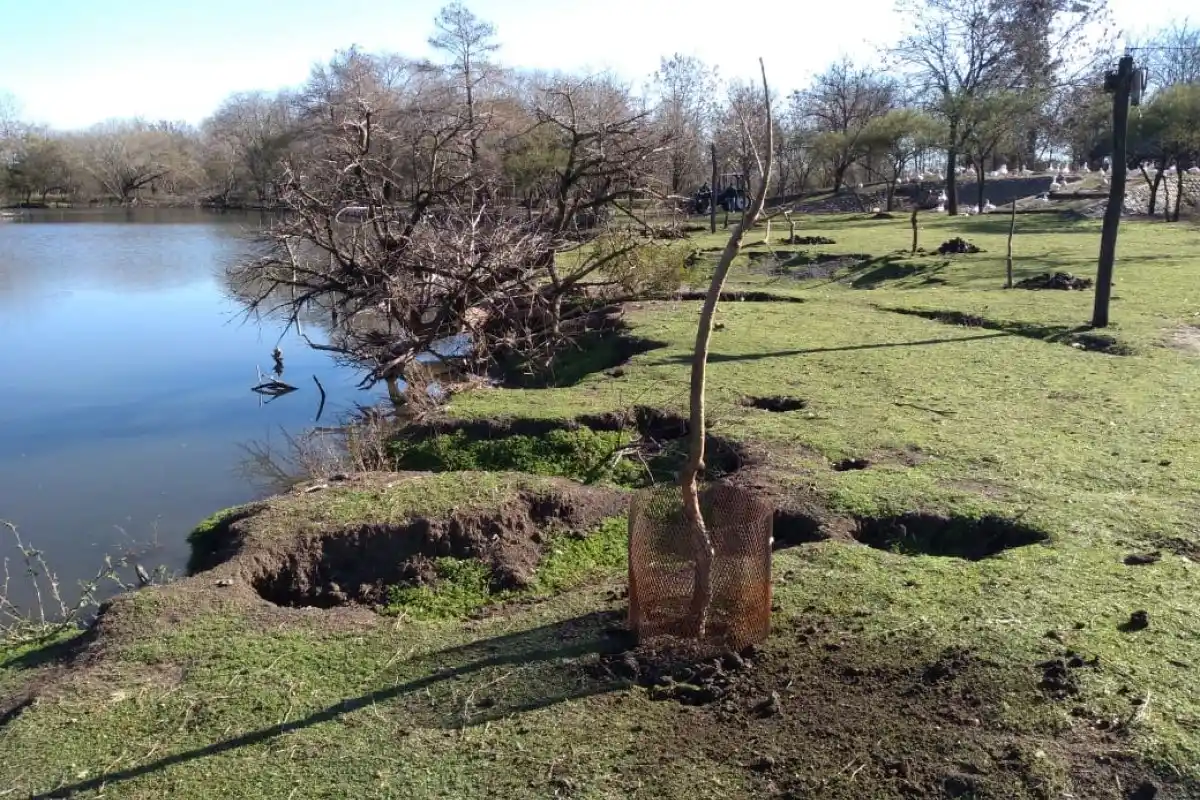 Se plantaron 40 árboles en la zona costera de la Laguna del Parque Unzué