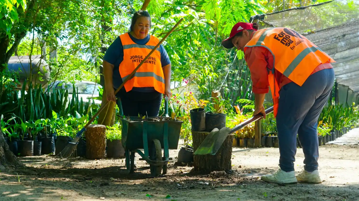 Ofrecen la plantación gratuita a domicilio de hasta dos árboles por familia