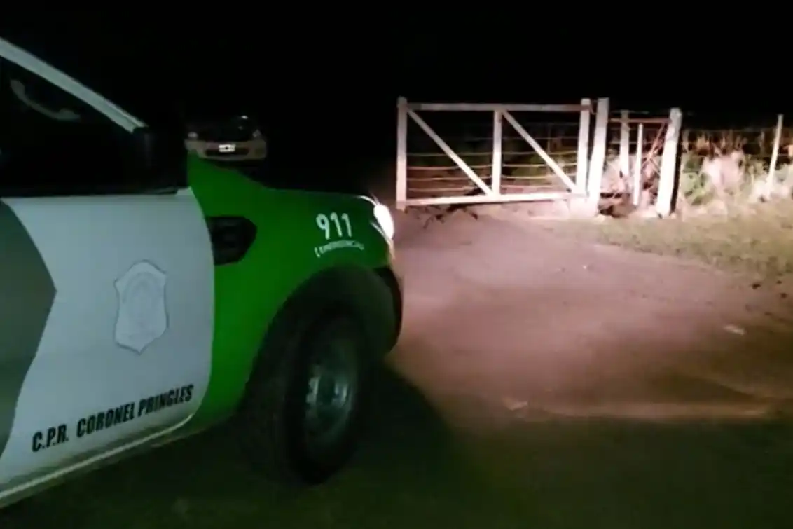 Dos años y seis meses de prisión por faenar dos animales en un campo de Coronel Pringles