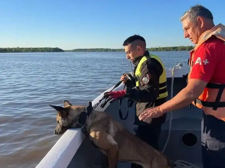 Efectivos de K9 Gualeguay colaboran en la búsqueda de un joven desaparecido en Zárate