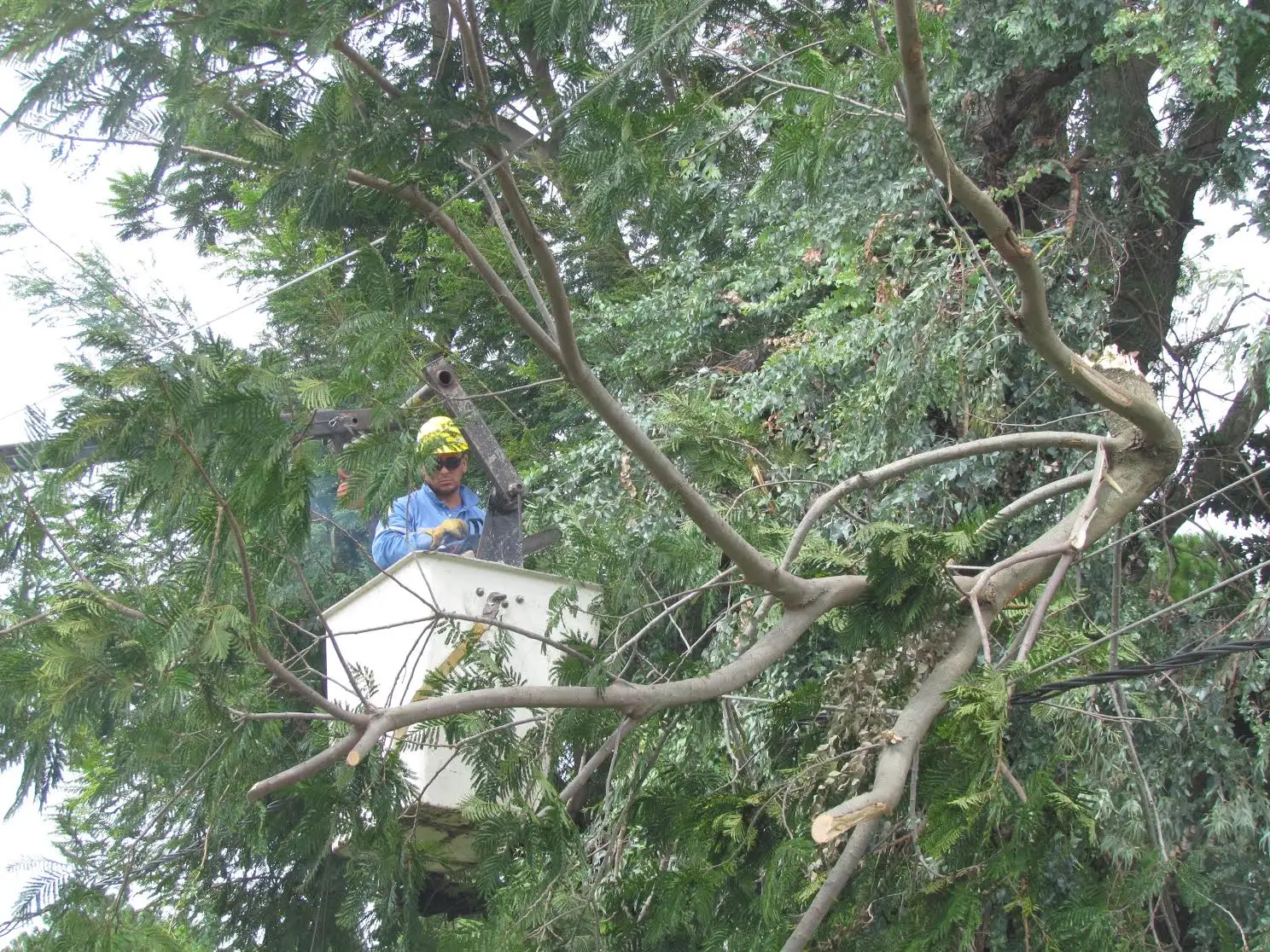 Informe de lluvias y servicio de EPE en la ciudad