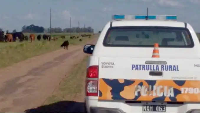 Allanamientos por intento de robo en un campo