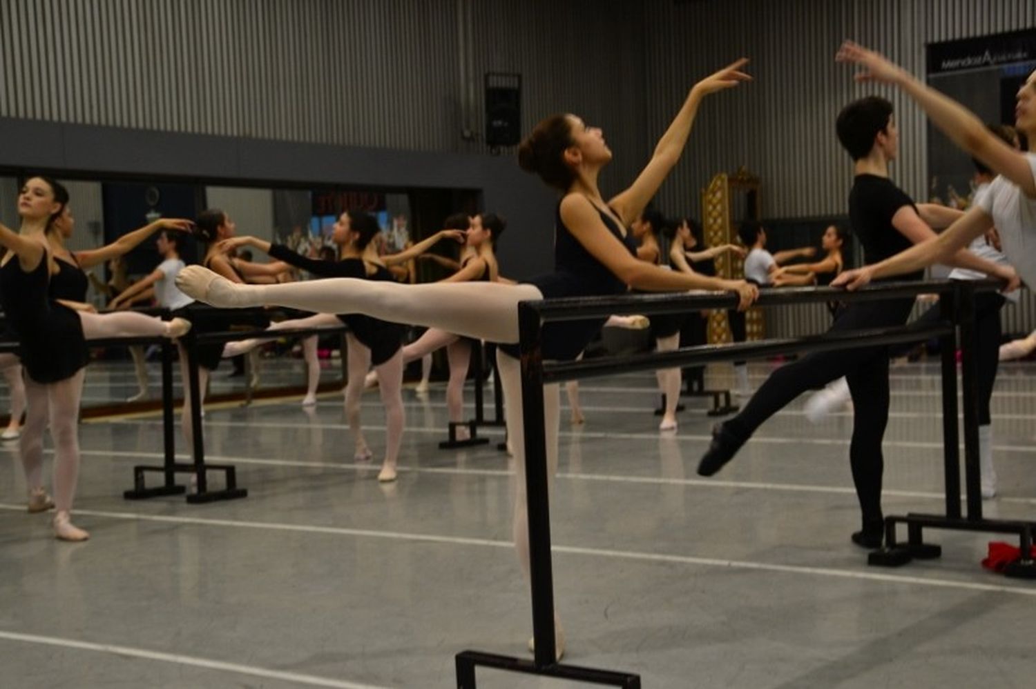 Escuela del Teatro Colón: “Mar del Plata tiene uno de los mejores niveles de danza del país”