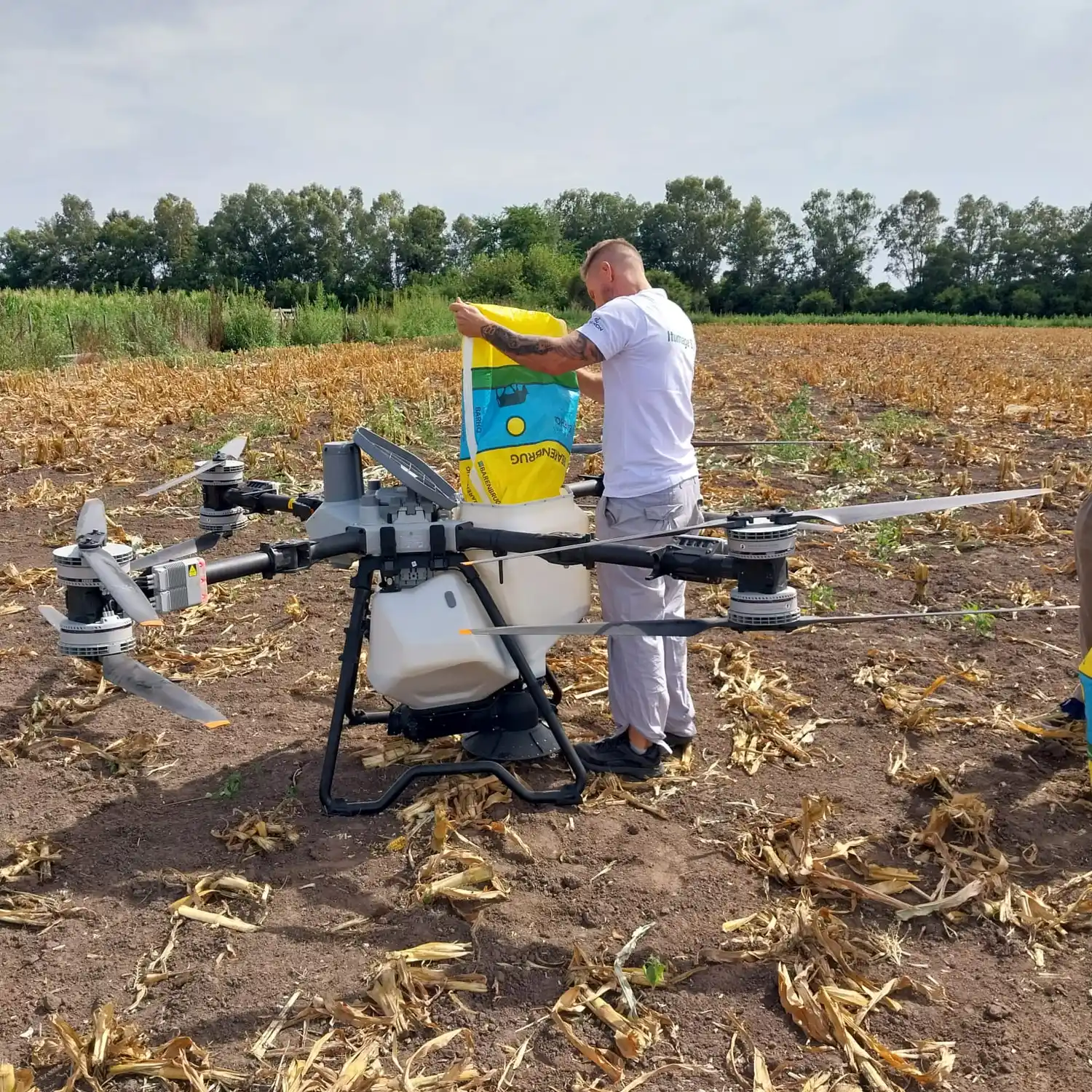 Con el uso de un drone, INTA Chascomús avanza en un ensayo de siembra aérea para mejorar la producción forrajera