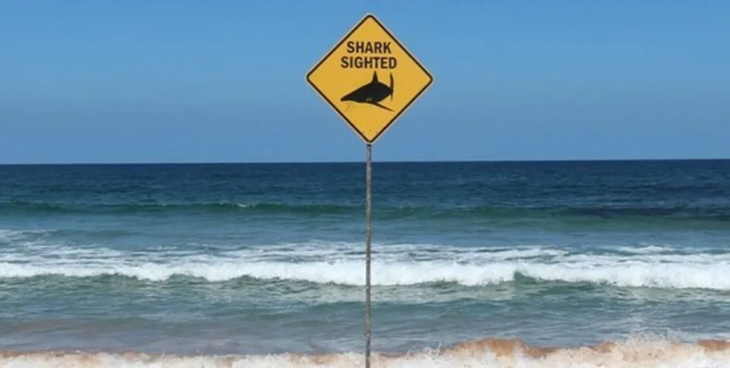 El ataque ocurrió durante la tarde del jueves cerca de Ethel Beach, en la península de Yorke.