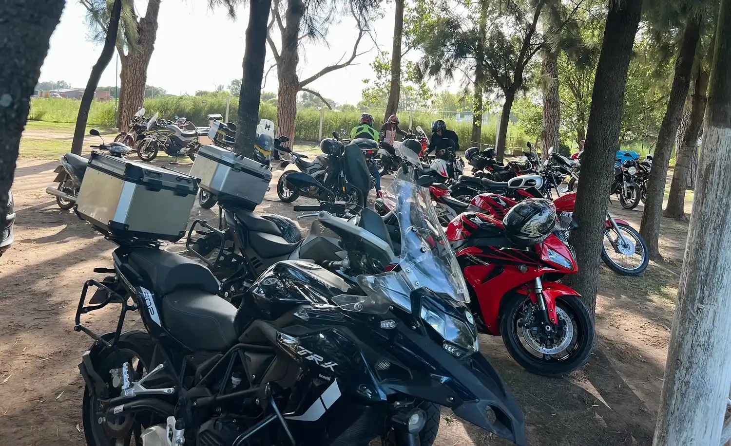 Gran cantidad de moteros de dieron cita en Teodelina. Foto: Gobierno de Teodelina.