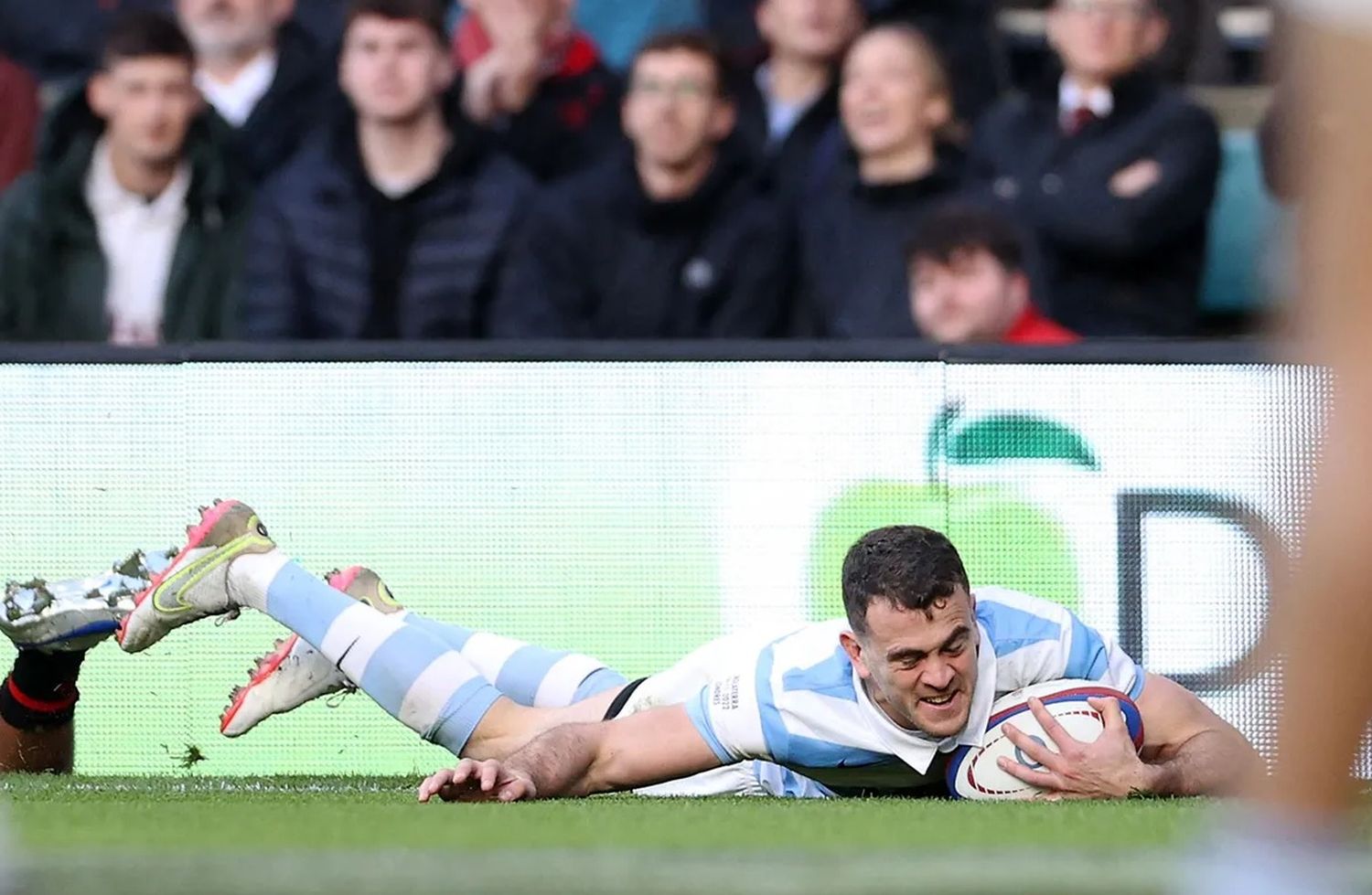 los pumas 2