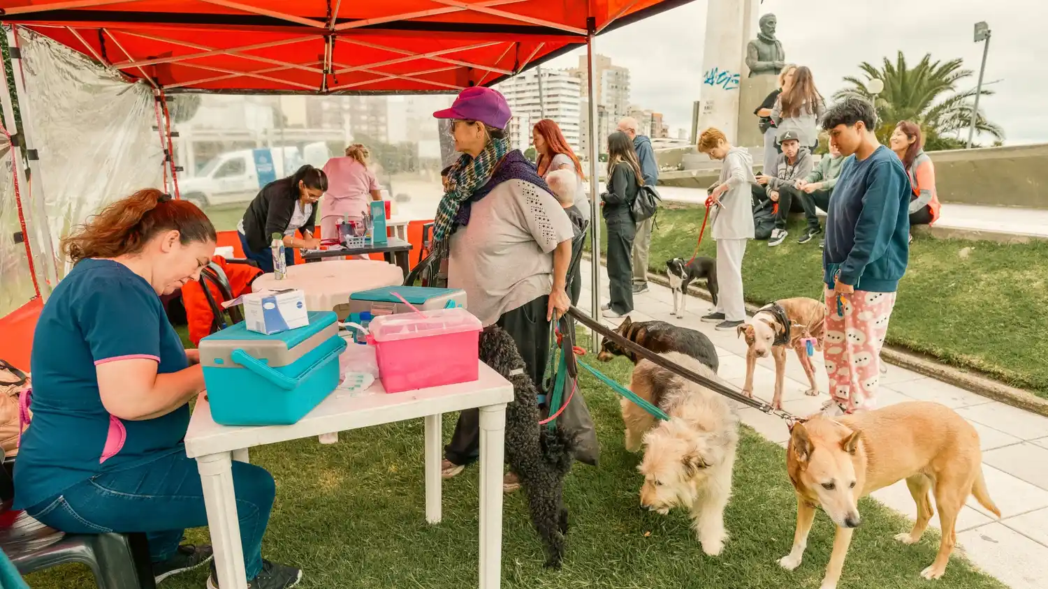Zoonosis Mar del Plata