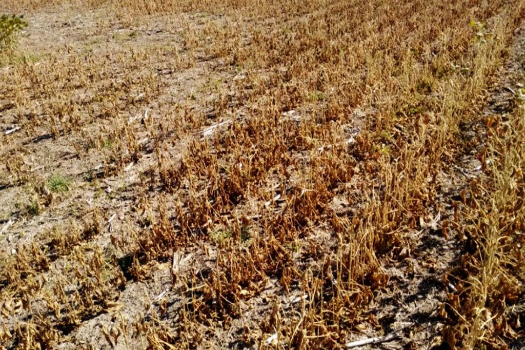 FAA reclama una respuesta del Gobierno provincial al pedido de emergencia agropecuaria