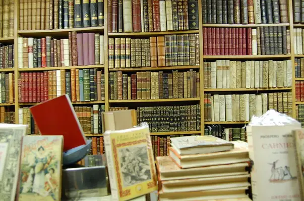 El camino del libro: “Son como los hijos, se engendran y se dan a luz