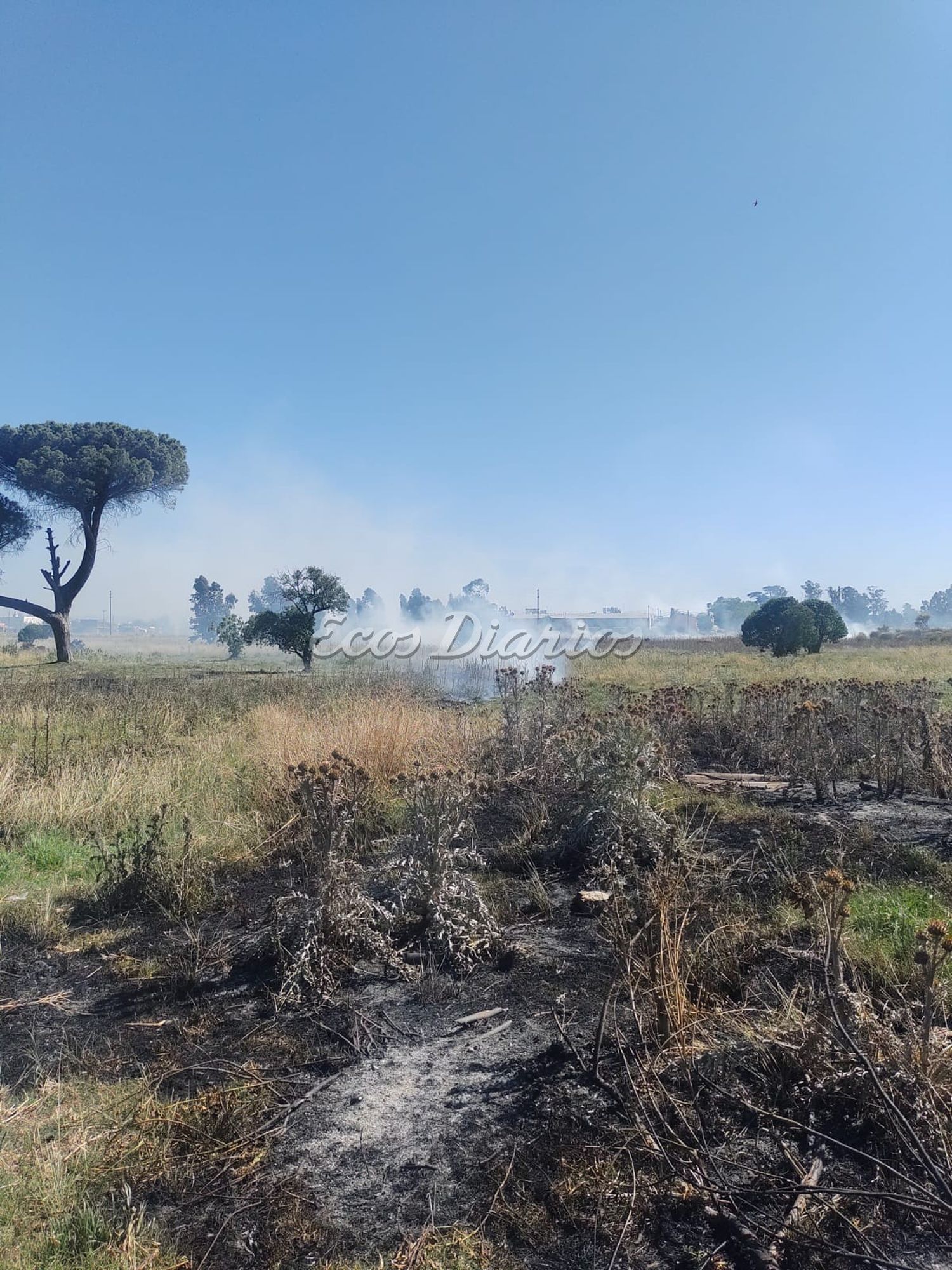 incendio pastos