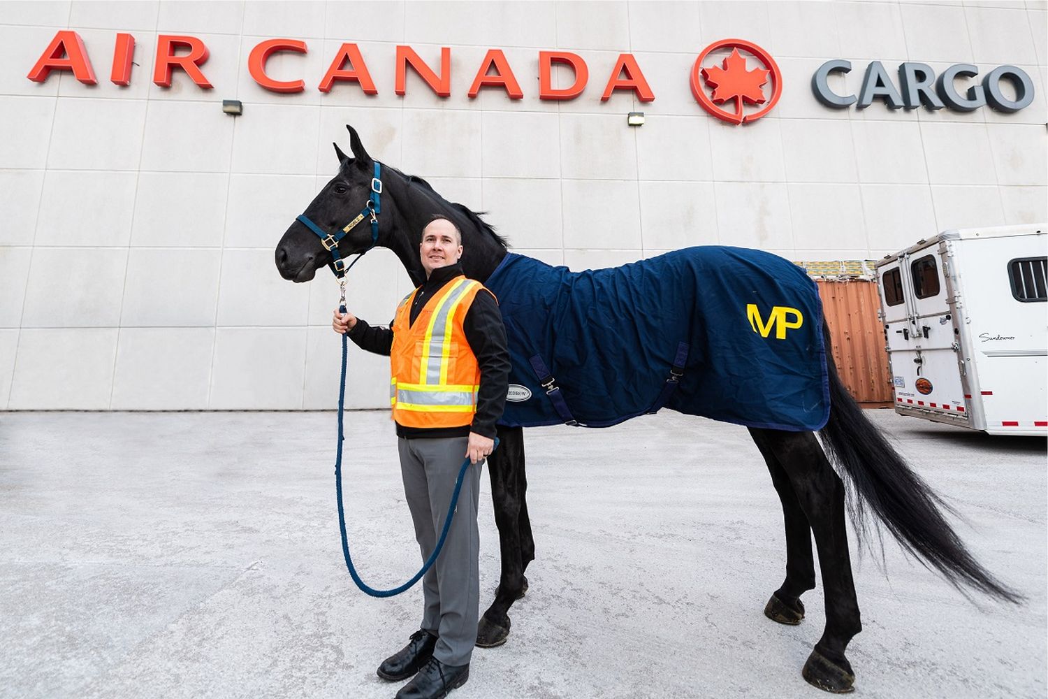 Air Canada Cargo transports an equine for the first time