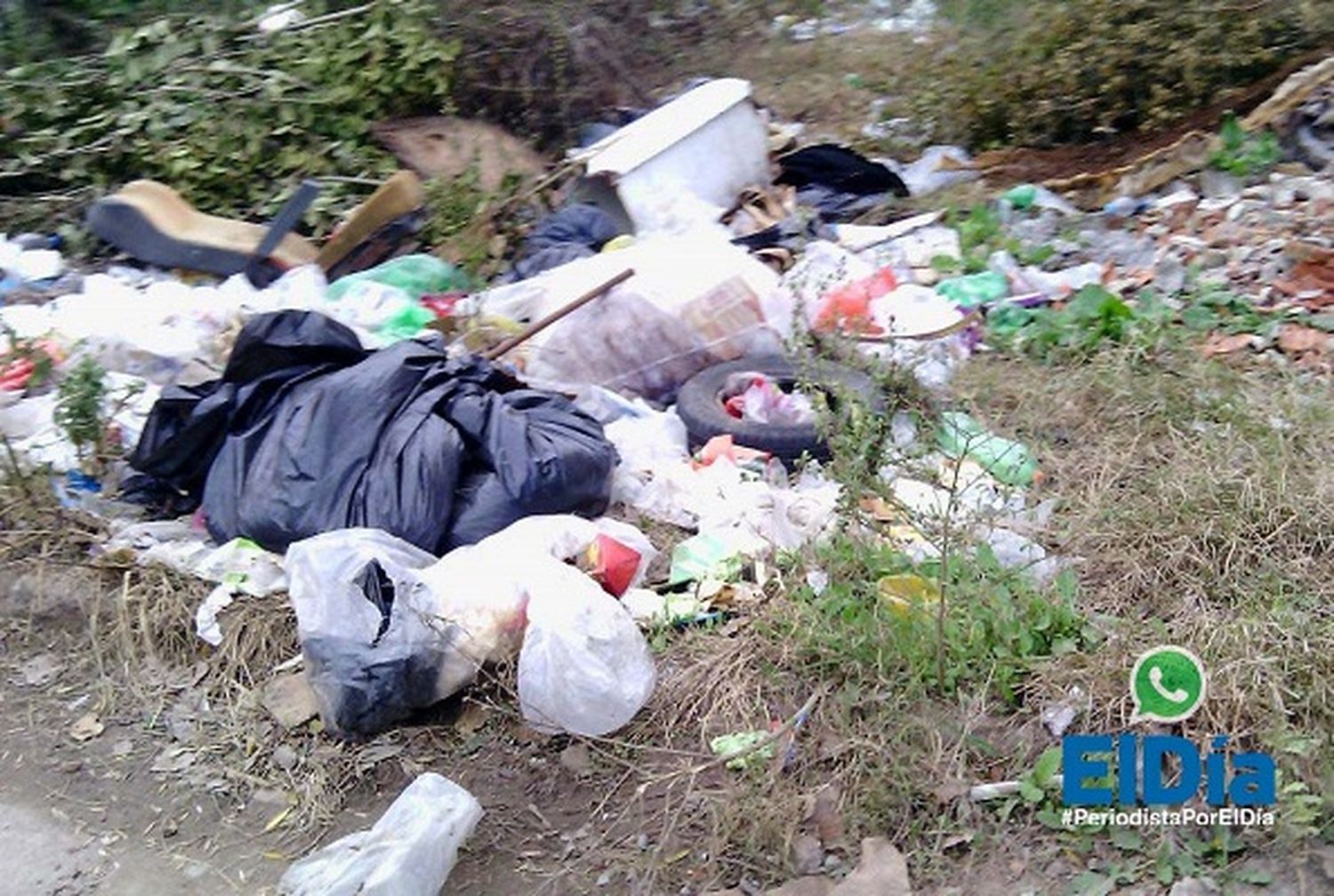 Minibasural: "Lo generan los propios vecinos y hasta hay animales muertos"