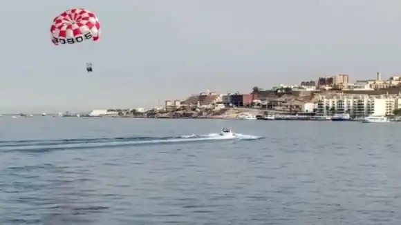 Tiburón devora a un joven ruso en una playa frente a la mirada impotente de su padre (VIDEO)