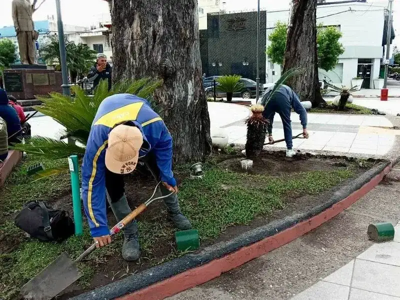 La Municipalidad intensifica tareas de
embellecimiento de los espacios verdes