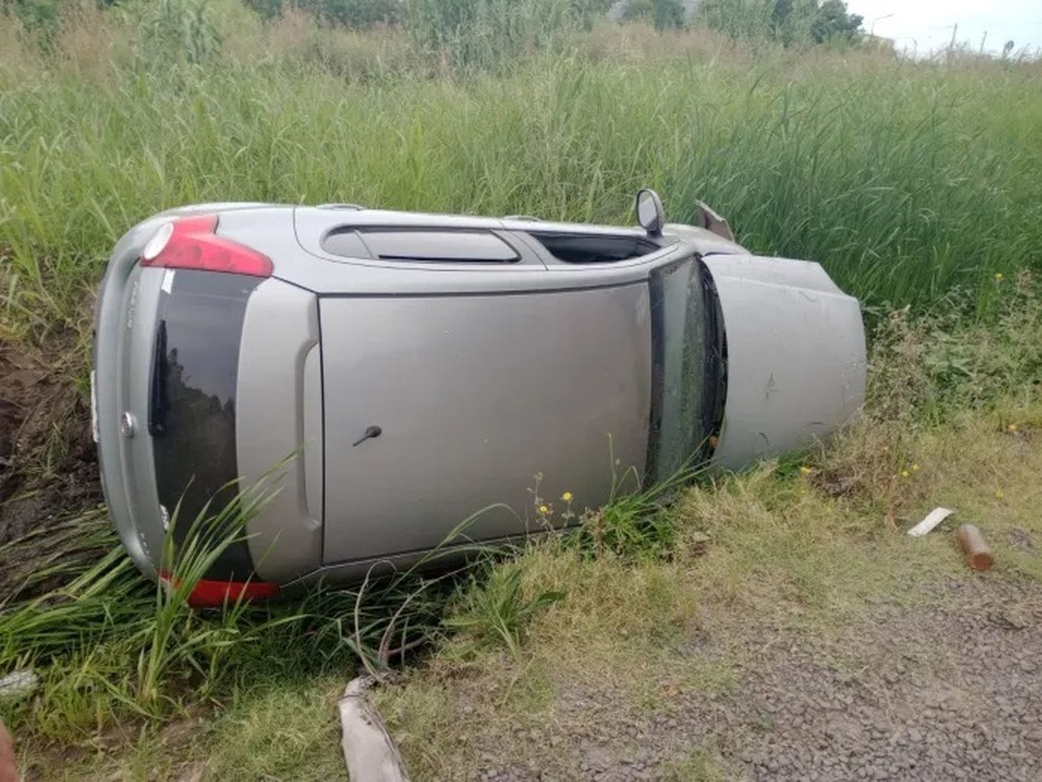 Intentó esquivar una pelea de perros y terminó volcando su auto en una zanja