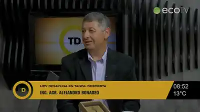 Liderazgo y Visión Global