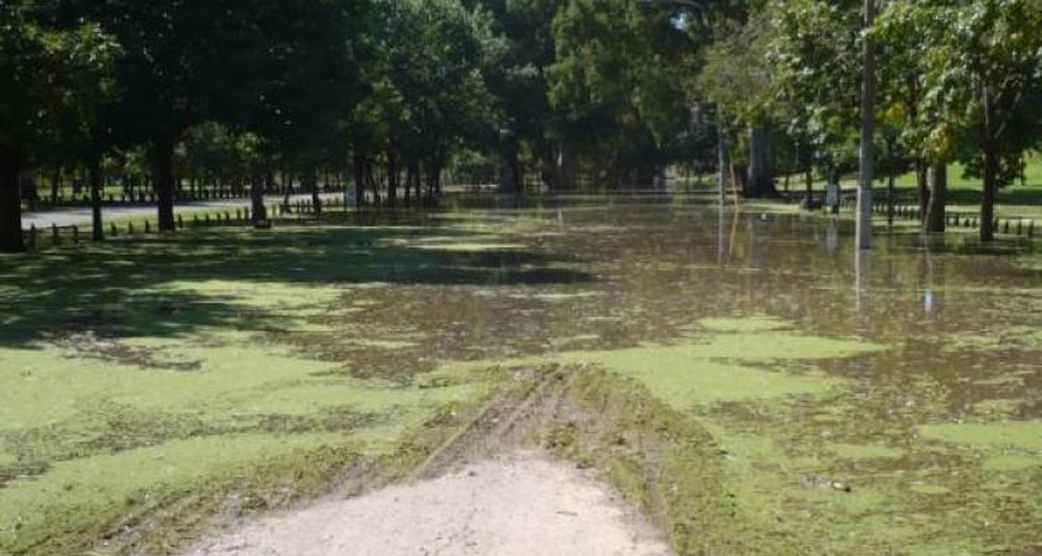 Con el Paraná en baja, el alerta sigue