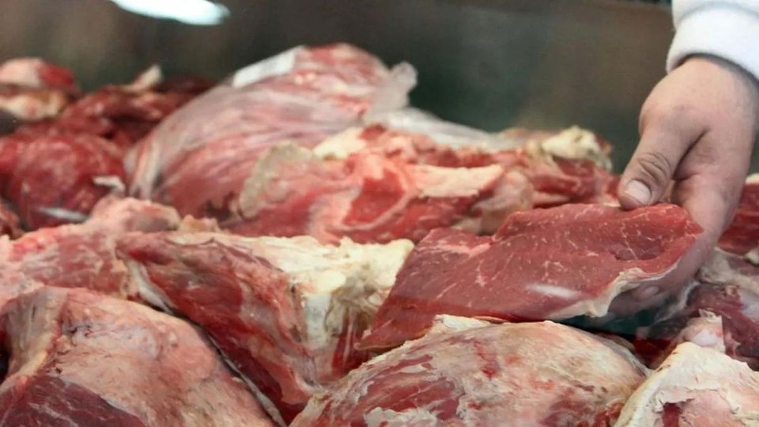 La Aduana evitó la exportación irregular de 31 toneladas de carne