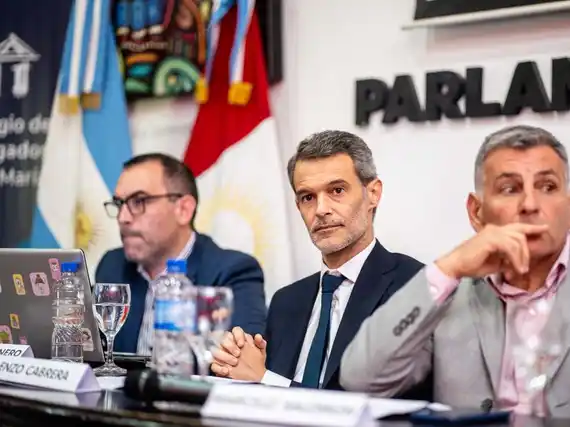 Enzo Cabrera: El Derecho Laboral, es conflicto de partes