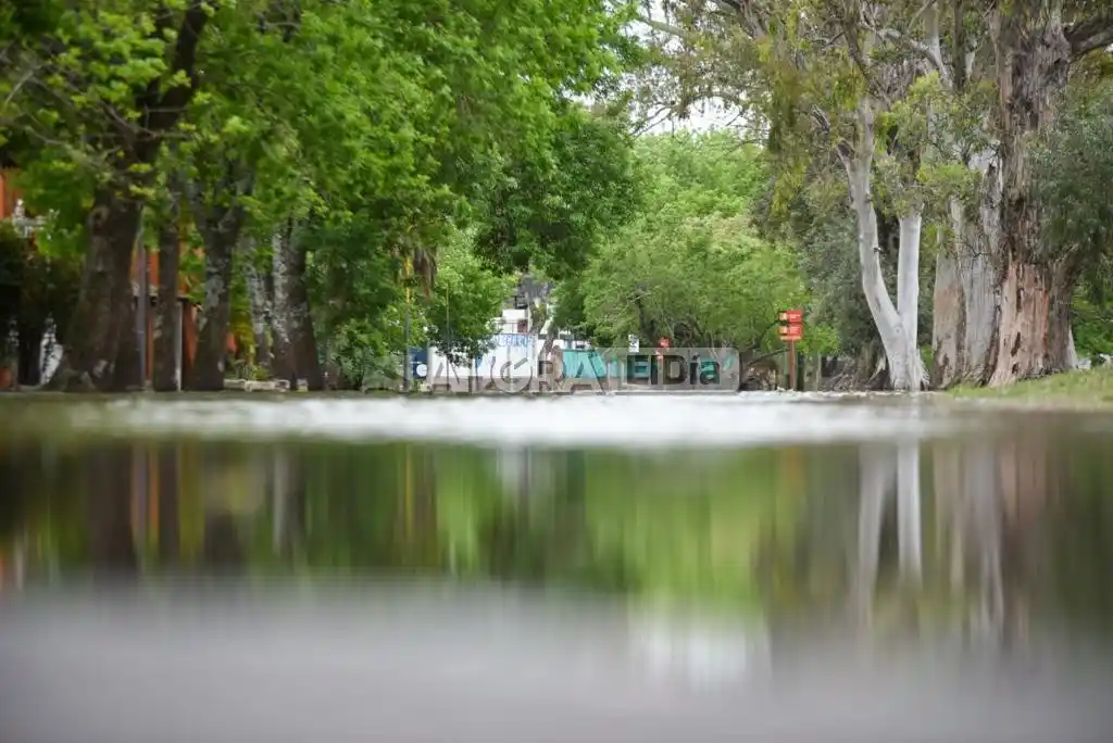 Foto: Mauricio Ríos