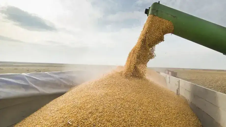 El Gobierno baja las retenciones a la soja, el maíz, el trigo y los biocombustibles con un cronograma gradual
