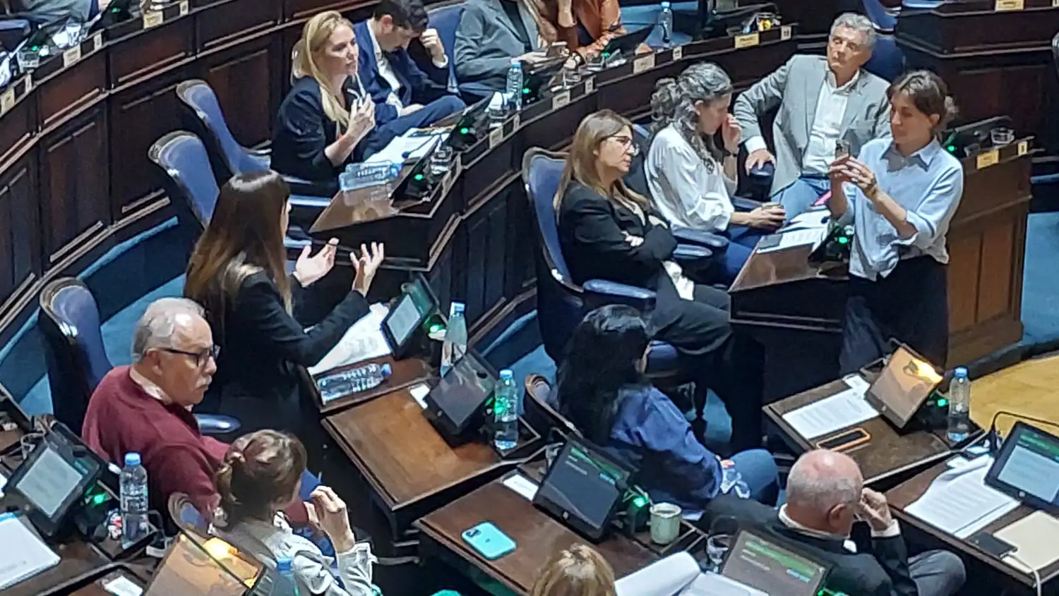 La diputada Lucía Iañez (Unión por la Patria) presentó dos proyectos vinculados a la protección integral de la niñez.