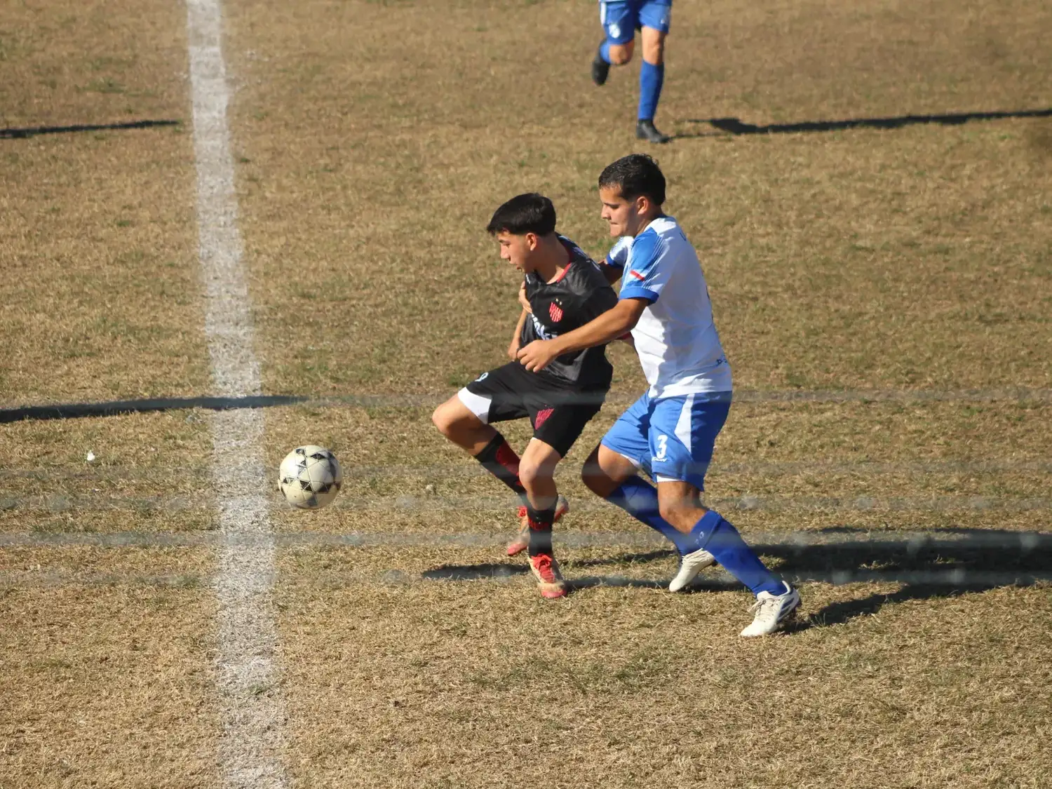 inferiores - 6