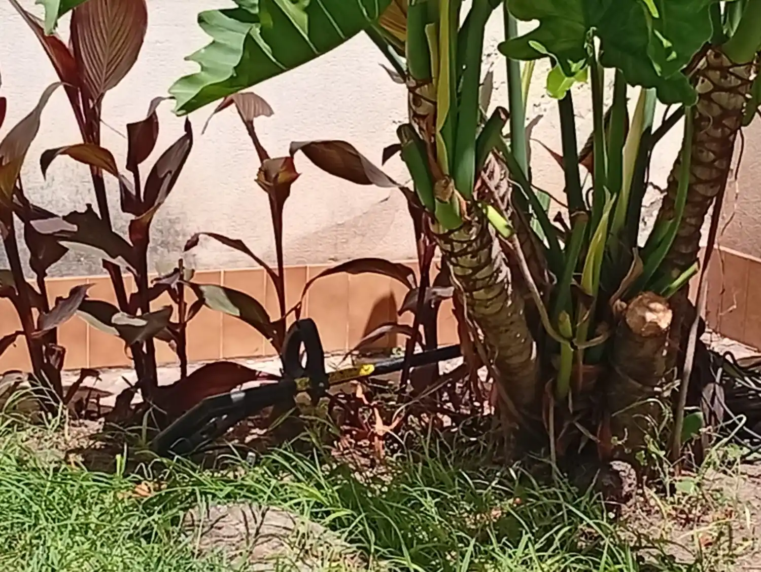 Vieron a un ladrón entrando al patio de un vecino y avisaron a Ojos en Alerta: lo atraparon sobre los techos