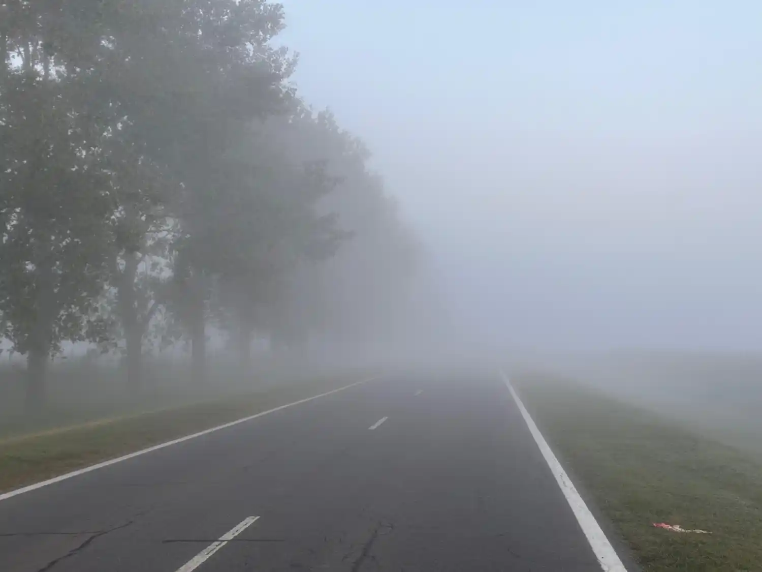 Bancos de niebla reducen la visibilidad en rutas del sur de Santa Fe. Foto: Sur24