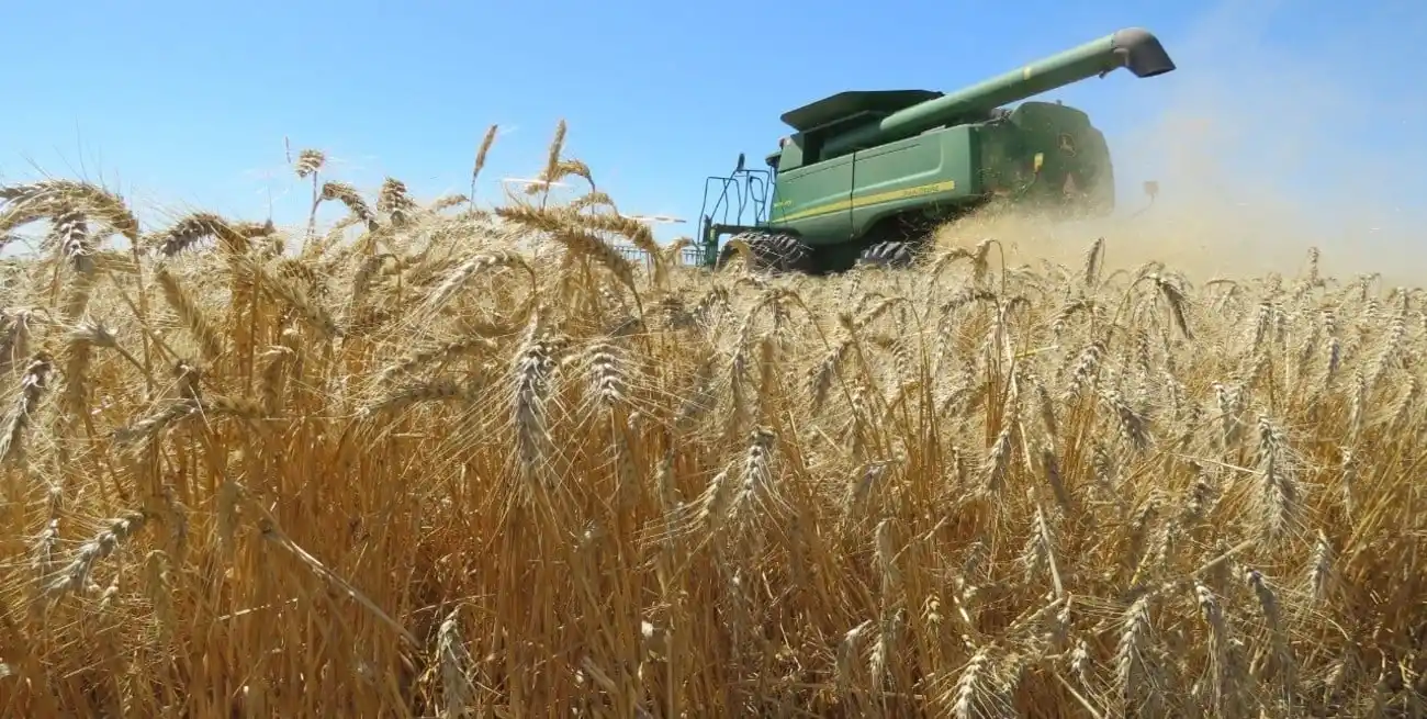 La carga tributaria al campo continúa alta a pesar de la baja en retenciones.