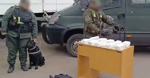 Canina Jelinek, la perra antinarcóticos que se hizo viral y fue reconocida por Bullrich