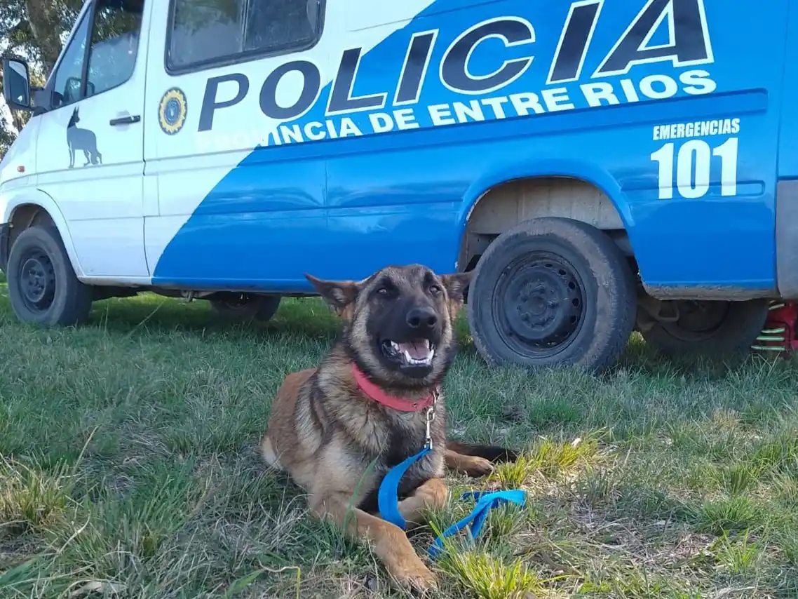 “Siempre que nos necesitan, somos los que vamos al frente”