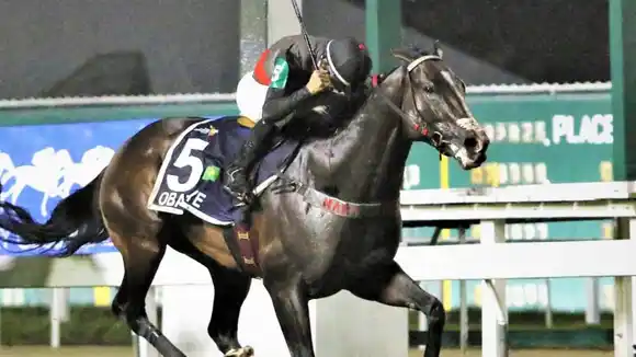 Se corre el Gran Premio Carlos Pellegrini, la carrera más importante de Sudamérica