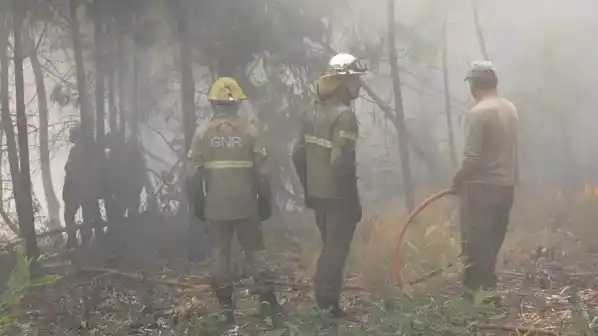 Ya se quemaron casi cien hectáreas un por incendio forestal en Epuyén