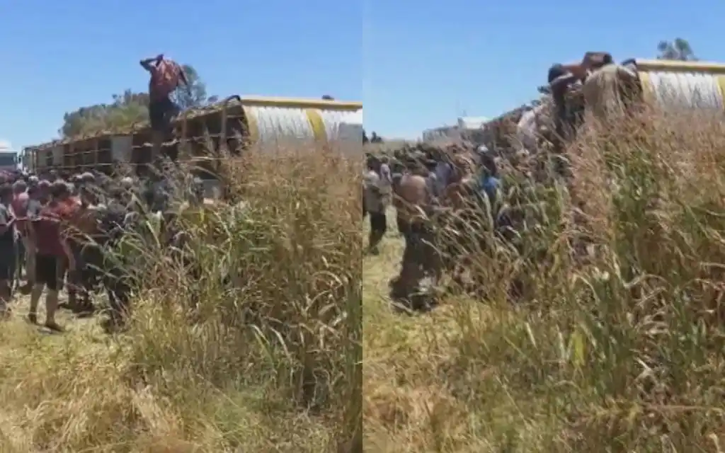 Transportaba novillitos. En el kilómetro 162 de la ruta nacional 8, se generó una situación caótica en la zona.