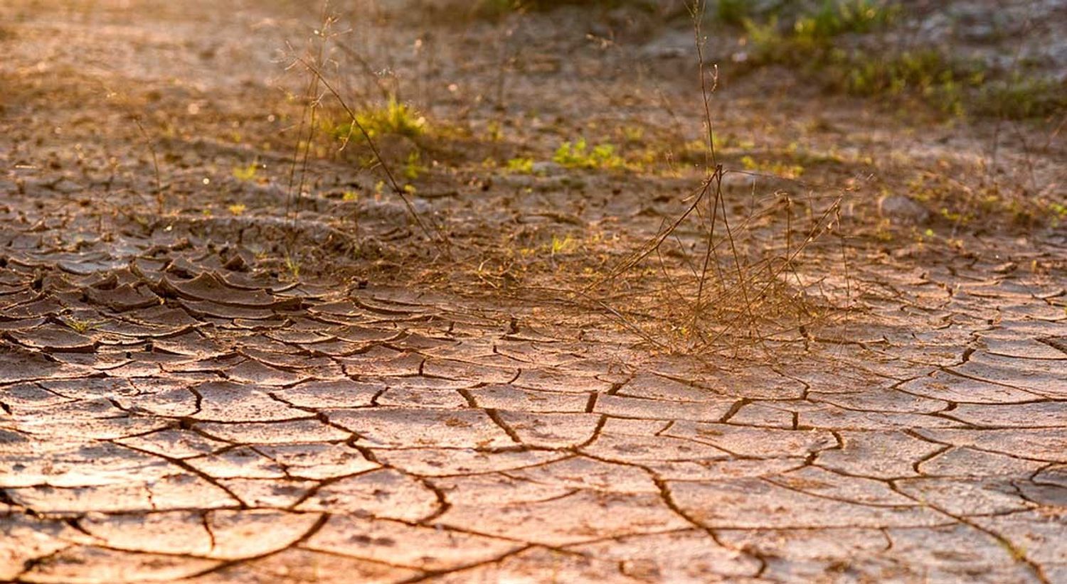 "La Niña" cada vez más cerca de ser realidad el próximo verano