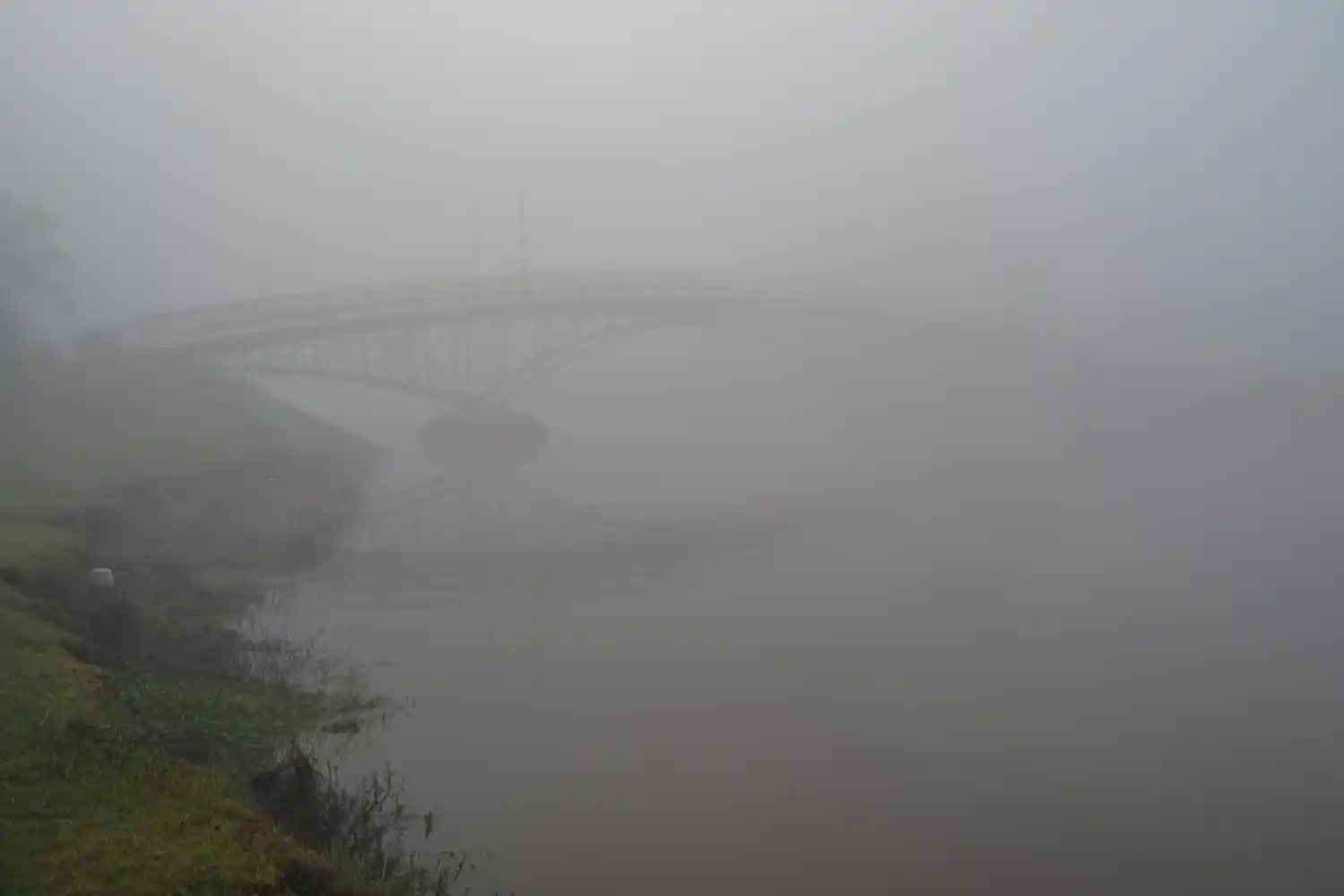 Alerta por niebla en Gualeguay: qué pasará con las temperaturas esta semana