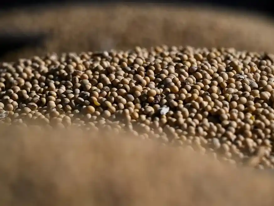 Para comprender el posicionamiento internacional de Argentina, es importante observar cómo han evolucionado sus principales competidores: Brasil y Estados Unidos.