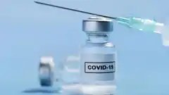 Cómo avanza la vacuna argentina contra el Covid-19
