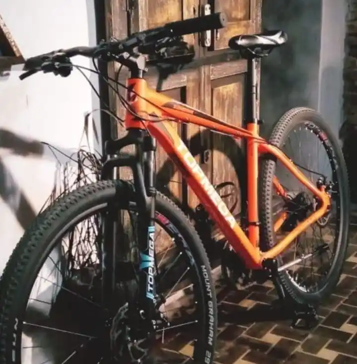 Otro robo de bicicleta en la ciudad: "Ayúdenme, es mi única movilidad"