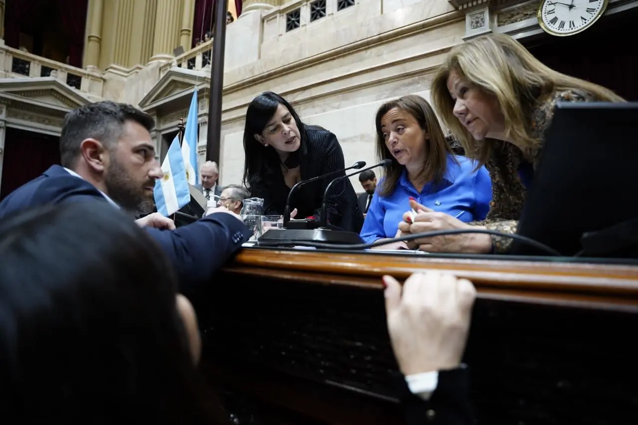 Moreau logró el consenso para que diputados se una en rechazo al atentado contra la Vicepresidenta de la Nación