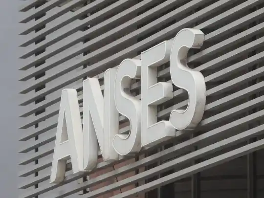 Plus del 20% de la AUH: Para fin de año, Anses destinará 22 mil millones