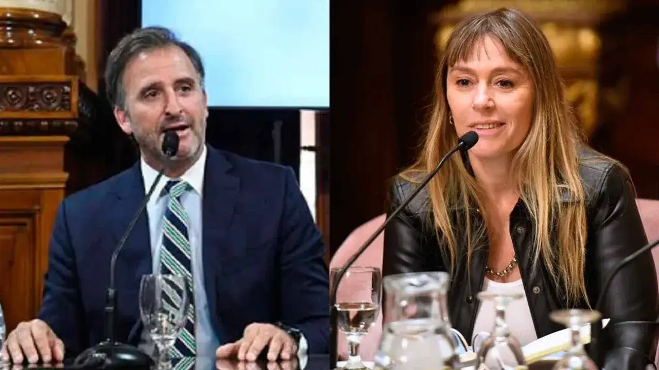 Benegas Lynch respondió a la impugnación de Di Tullio: "Un beneficio general no es un privilegio particular"