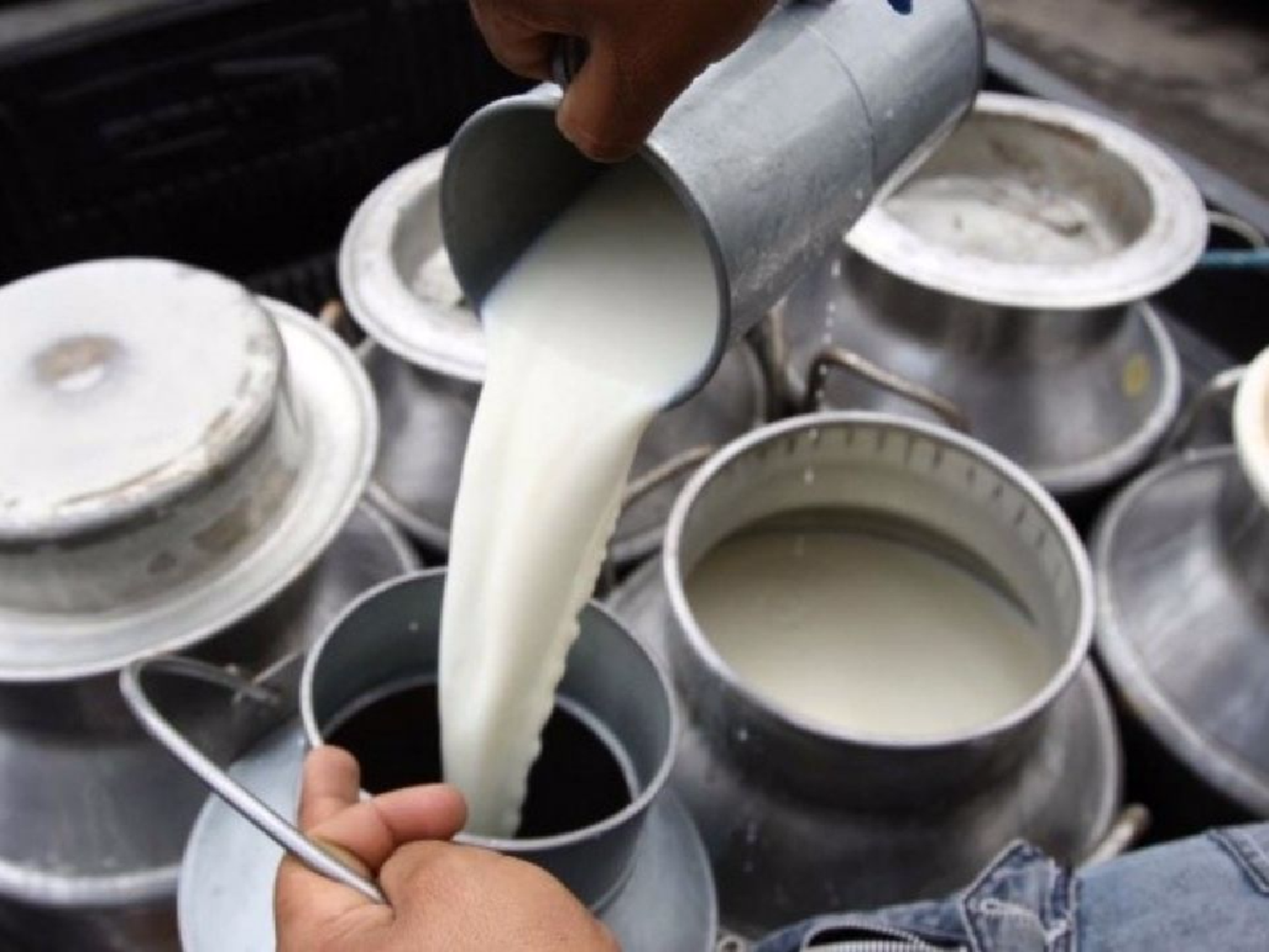 Presupuesto: el proyecto prevé una reducción en la alícuota del IVA a la leche del 21% al 10,5%