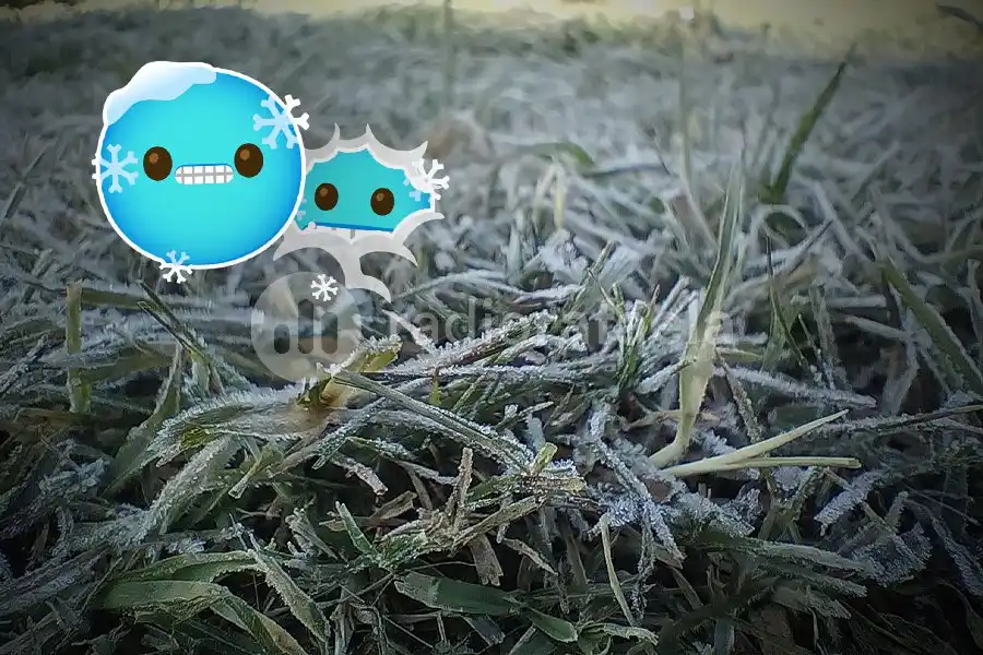 Se congeló Santa Fe: ¿cuáles son las localidades con temperaturas más bajas en la provincia?